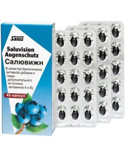 САЛЮВИЖН SALUS-HAUS GMBH Купить САЛЮВИЖН SALUS-HAUS GMBH